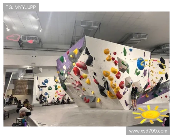 全面解析攀岩比赛规则与评分标准助你掌握竞技攀岩关键要点