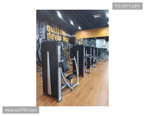 十款热门健身器材深度测评揭示最值得购买的家庭健身选择