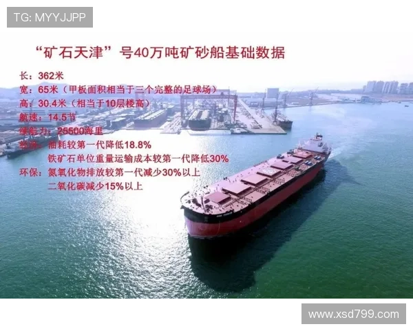 从零基础逐步掌握海上冲浪技巧的超全面实用安全教学视频指南入门