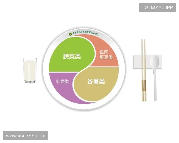 围绕举重训练周期打造全面力量提升与恢复平衡的实用方案指南大全